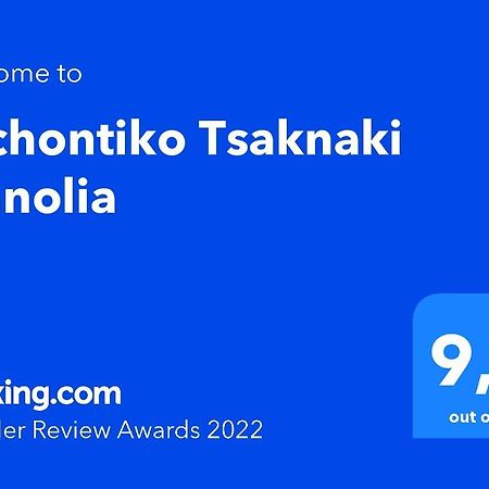 Hotel Archontiko Tsaknaki Manolia Áno Lekhónia Esterno foto